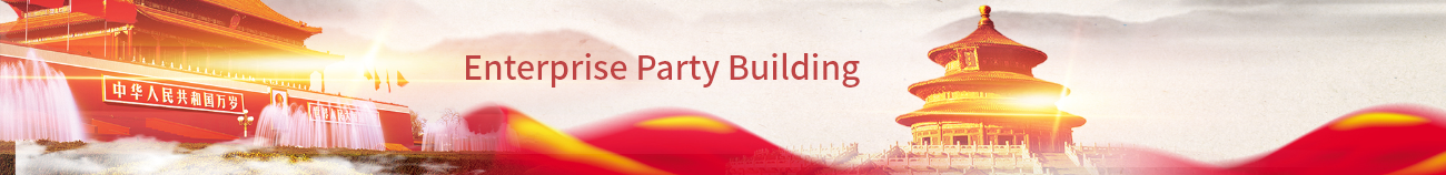Party building in Enterprises